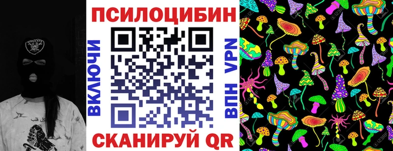 дарнет шоп  Чишмы  Галлюциногенные грибы ЛСД 